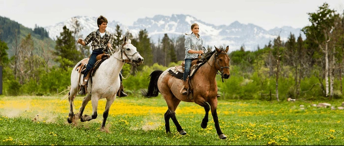 Confident plus-size woman riding Merthyr Tydfil a horse through a field with a smile on her face.